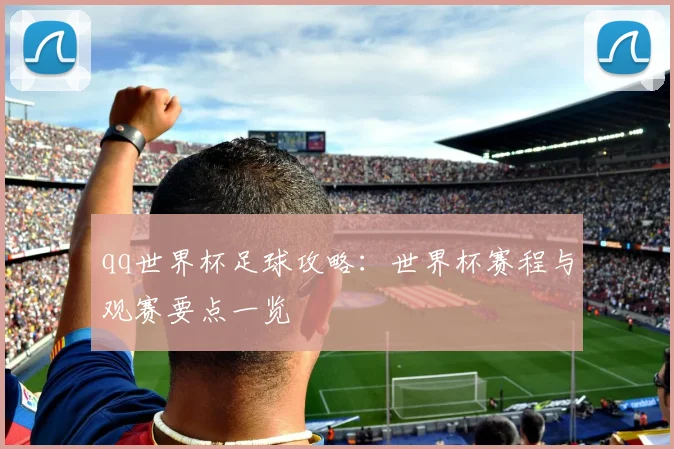 qq世界杯足球攻略：世界杯赛程与观赛要点一览