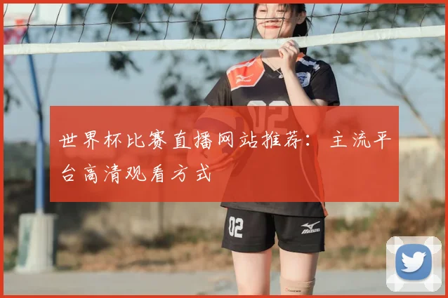 世界杯比赛直播网站推荐：主流平台高清观看方式