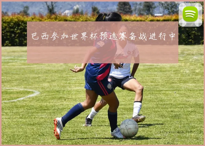 巴西参加世界杯预选赛备战进行中